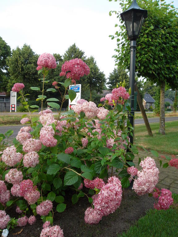 Hof van Lutten Buitenkant foto